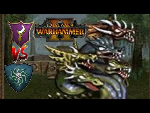 A Wild Hydra Appears! - Dark Elves vs Vampire Coast | Total War: Warhammer 2