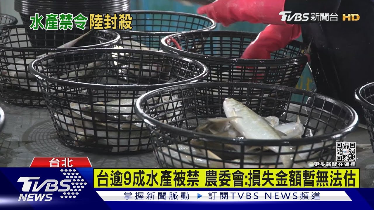 99%水產遭陸「暫停進口」 衝擊午仔、秋刀、魷魚