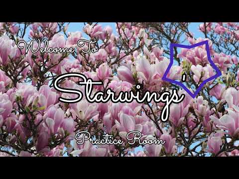 【Starwings】Wandering Musician 04062022