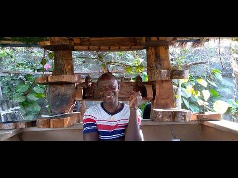 How I used $1 to build an ornamented Garden in Hastings