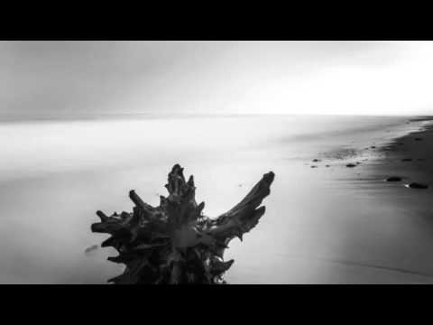 SEBA - Dangerous days