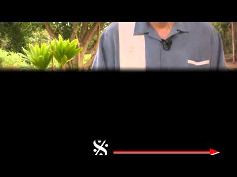 Uke Minutes 72 - Musical Direction II