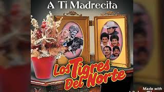 Amor de madre los tigres del norte