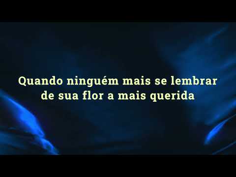 Para Sempre - Stênio Marcius