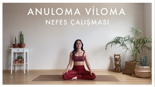 Anuloma Viloma Nefes Çalışması (Kumbhaka'lı 20 tur)