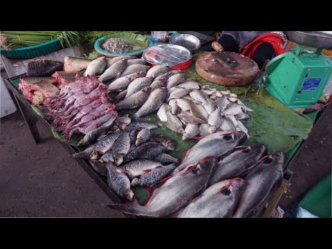 Evening Street Food Market Scenes at Phsa Tuol Sangke - Walking Around Big Tuol Sangke Market