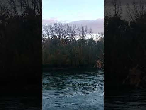 otoño río Limay PLOTTIER Neuquen