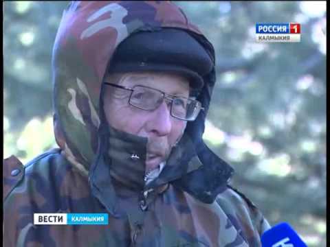 Вести «Калмыкия»: дневной выпуск 22.12.2015