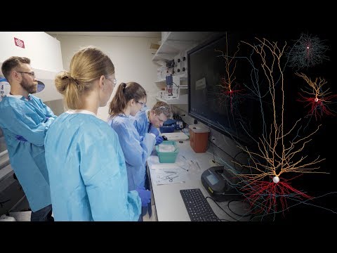 First open database of live human brain cells