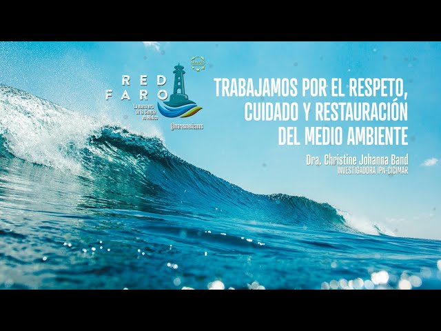 Vídeo relacionado con Protect The Moose - Camiseta de conciencia ecológica para los amantes de la naturaleza Camiseta