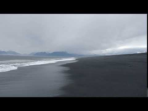 2017-08-14 Black sand beach near swan fjord