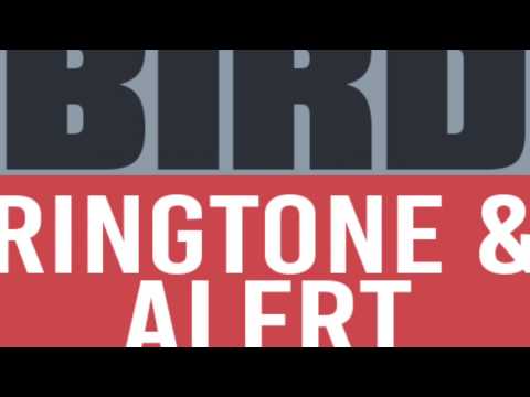 Free Bird Intro Ringtone Video