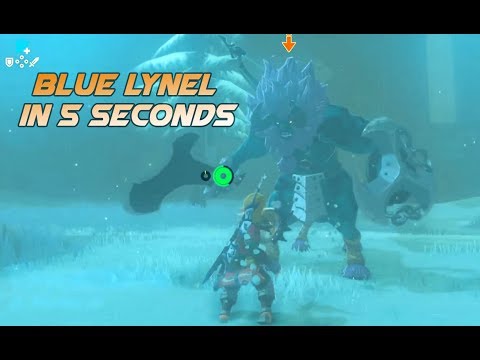 Trial of sword - Defeating the blue Lynel in less than 5 seconds