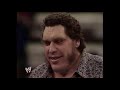 WWF Wrestling June 1991