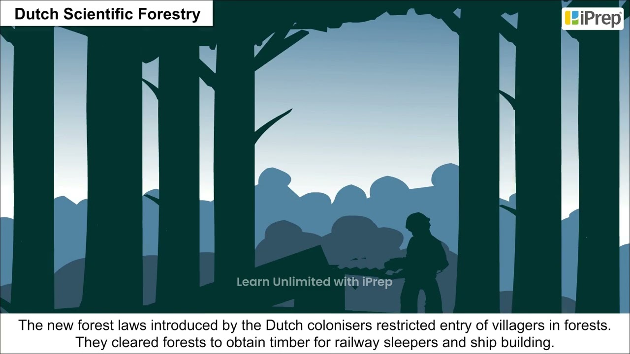 Forest Transformation in Java | Forest Society and Colonialism | History | Class 9th | iPrep