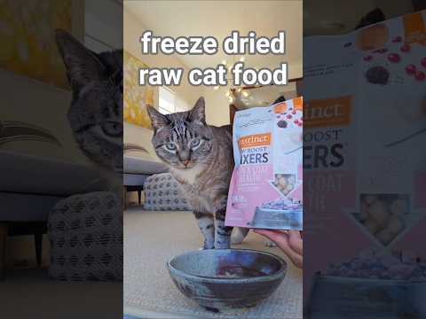 [kitty taste test] Instinct Freeze Dried Raw Cat Food for cats skin & coat