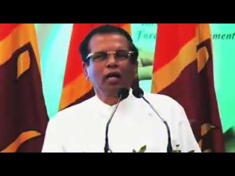 Sinhala joks wadu madu song