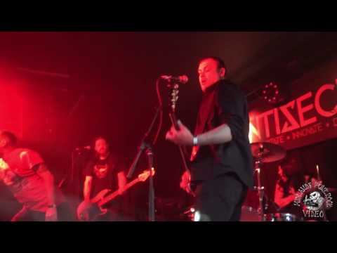 DSA - Birmingham Castle & Falcon 21/4/17 - MPRV Live