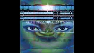 Wayne Krantz - Honey Loves Sugar