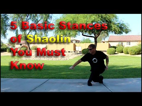 5 Basic Stances of Shaolin You Must Know