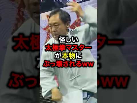 怪しい太極拳マスターが本物にぶっ壊されるww