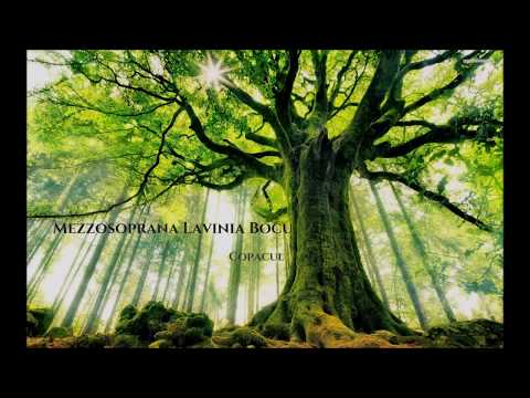 Lavinia Bocu - Copacul (Aurelian Andreescu / Zsolt Kerestely) Cover