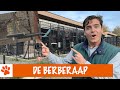 Born to be wild! | DierenpraatTV