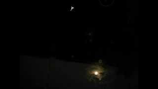 preview picture of video 'Aparición de un angel antes del eclipse lunar 14/042014 Milagro - Ecuador'