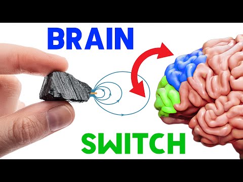 這塊磁鐵能反轉你的大腦，它能拯救生命 (This magnet can invert your brain, and it’s saving lives)