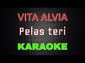 Vita Alvia Pelas Teri Remix Karaoke LMusical