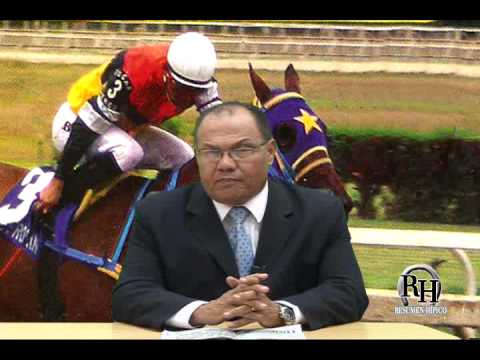 Resumen Hípico 19-02-2010 Parte I