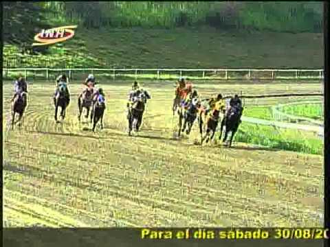 Resumen Viernes, 29 de Agosto de 2014 - La Rinconada