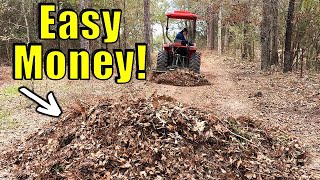 Stop Buying Soil! This Is Like Picking Money Off The Ground!
