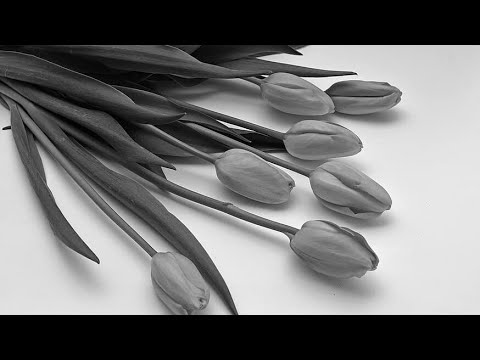 Beautiful Flowers Collection 🌸