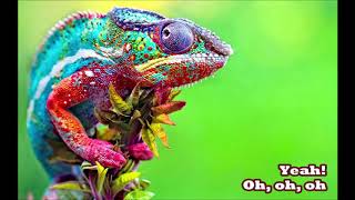 PNAU - Chameleon (Lyrics &amp; 432Hz)