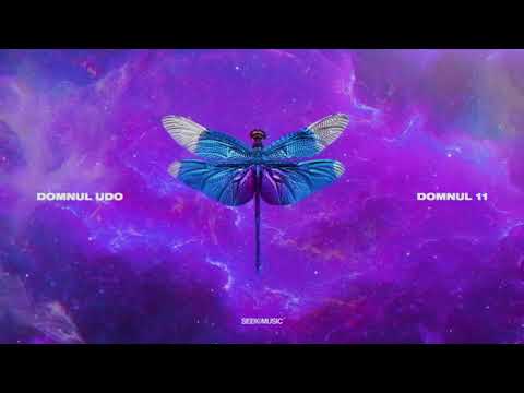 Domnul Udo - Contrabanda (Audio)