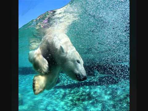 Transient - Taming Content