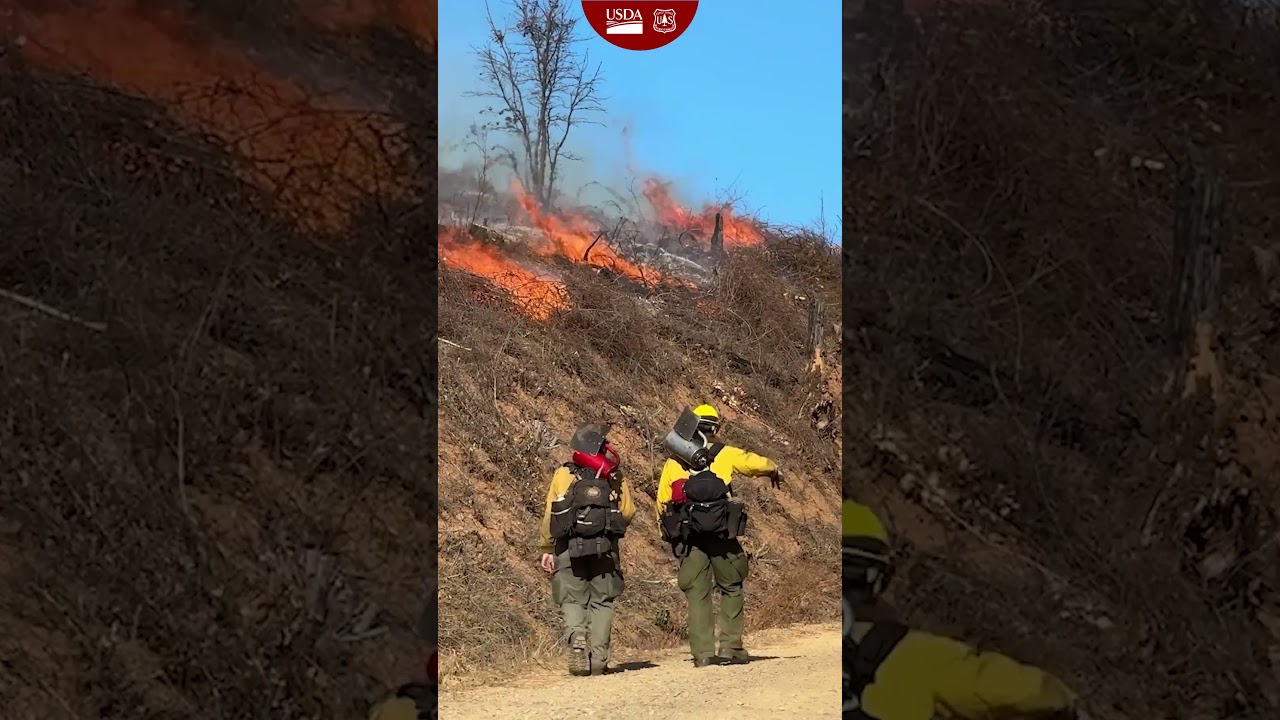 Plumas Wildfire Prevention
