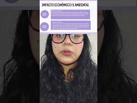 Proyecto del Puente en Puerto Concordia- Meta