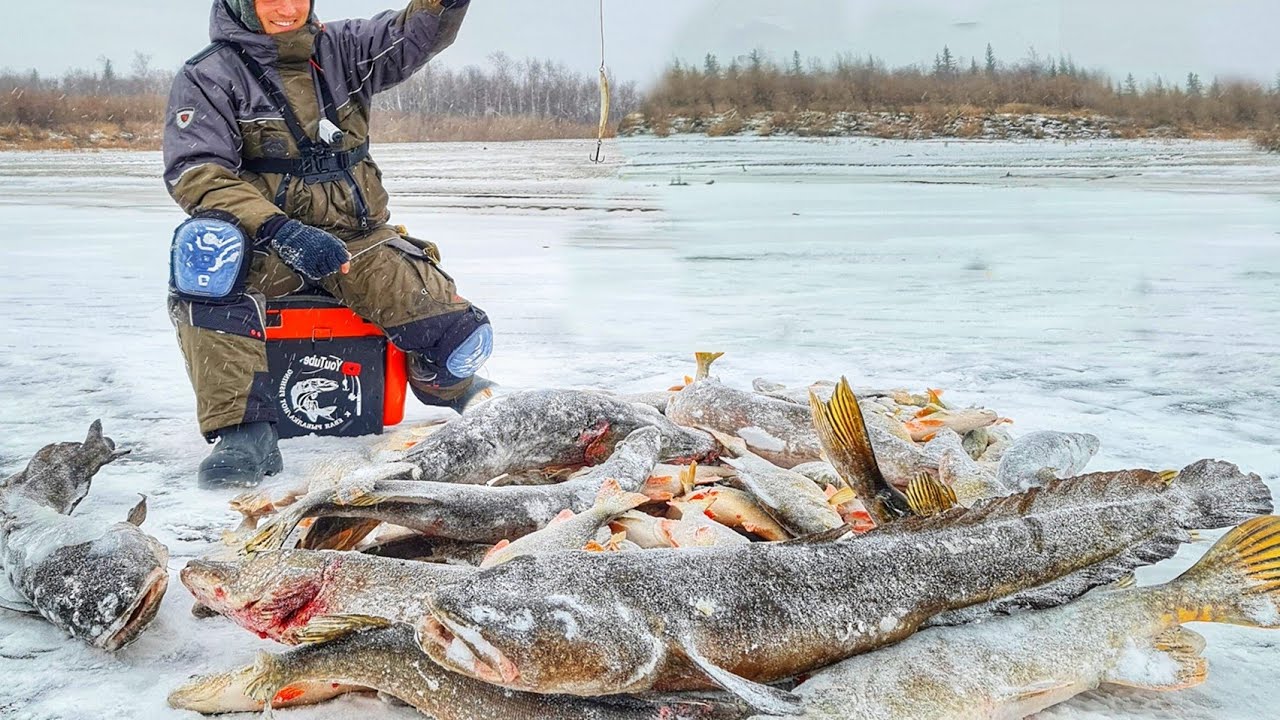 ОНИ РВУТ ЛЕСКУ И РАЗГИБАЮТ МОРМЫШКИ! ДРУГ ПРОПАЛ! СПАСАЕМ!