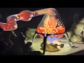 Snow White And The Seven Dwarfs Preparing The Potion HD