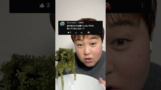 海ぶどうのASMR撮影に初挑戦してみた #shorts #asmr
