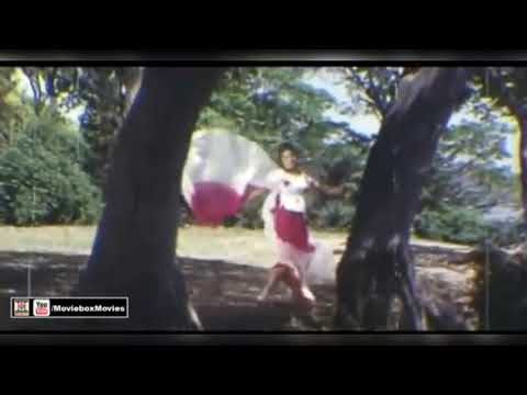 Laila me Laila Song Saima Noor Sunny Leony Shahruk khan Movie Raees