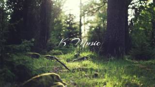 Of Monsters and Men - Organs