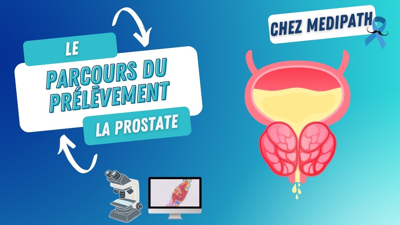 Nos offres d'emploi - SELAS MEDIPATH