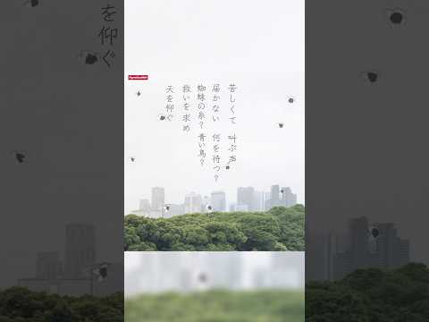 8月6日は「#音のない森」リリース日！ 「音のない森」は岡野昭仁がシングル表題曲の作詞・作曲を初めて担当しました！ #ポルノグラフィティ #リリックビデオ #NaNaNaサマーガールの思い出