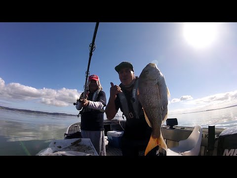 A magic day on the Harbour with Pea in the little fc luckycharm 🍀