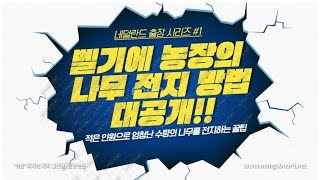 벨기에 농장의 나무(묘목) 전지방법 최초공개![네덜란드 출장 시리즈 #1] /Daelim Nursery (N…