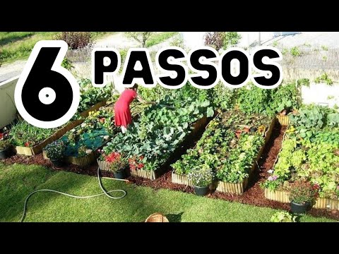 Aprenda a Fazer uma Horta em 9 Passos!