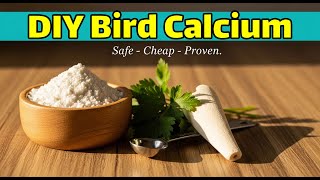 Download lagu Kalsium Alami Buatan Sendiri untuk Burung — Resep Rumahan yang Aman & Cara Penggunaannya mp3